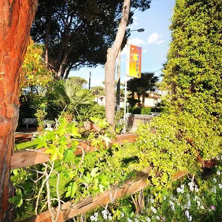 Manuela Hotel Cinquale