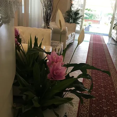 Отель Manuela