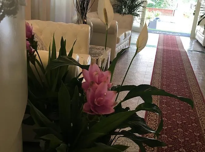 Hotel Manuela